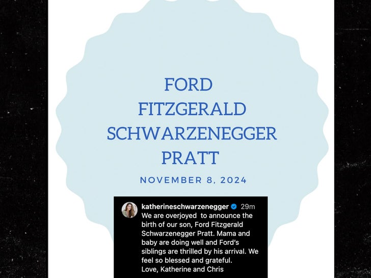 ford fitzgerald schwarzenegger pratt