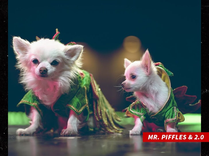 mr piffles 2.0 sub