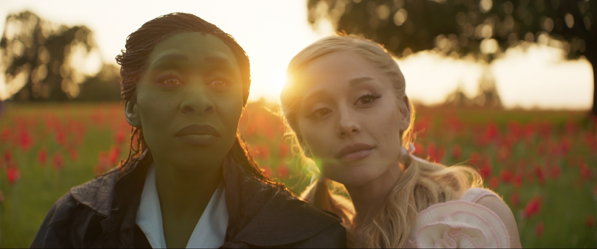 Elphaba and Glinda embracing in front of a field of poppies, golden sunlight streaming around them in Wicked