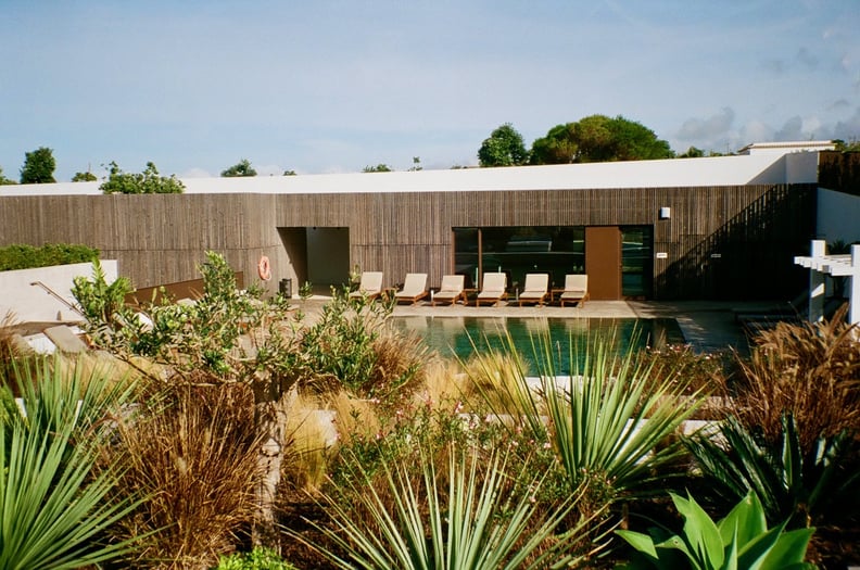 A photo shows plants in the foreground and a pool in the background at Aethos Ericeira hotel in Portugal.