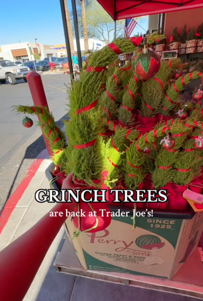 A grump tree at Trader Joe's