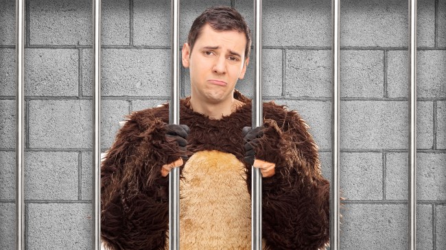 Man in bear costume in jail