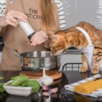 The cat and its owner in aprons cook food together in the home kitchen. - stock photo