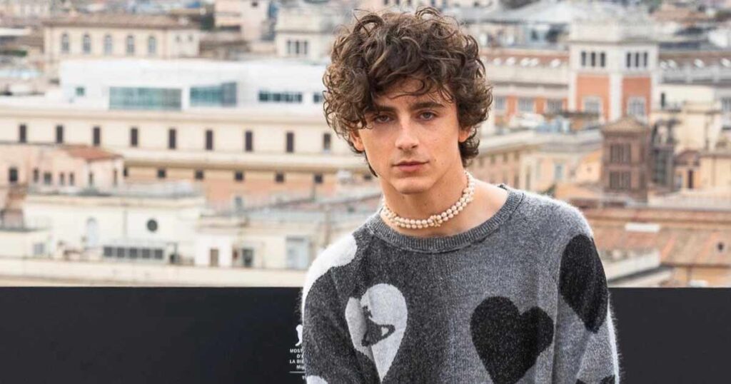 Timothee Chalamet Box Office Report Card 2024