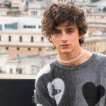 Timothee Chalamet Box Office Report Card 2024