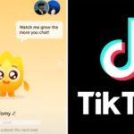 How to get a Streak Pet on TikTok