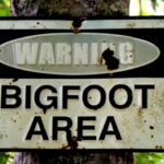 warning bigfoot area sign in woods