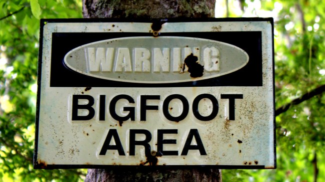 warning bigfoot area sign in woods