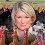 martha stewart turkeys main