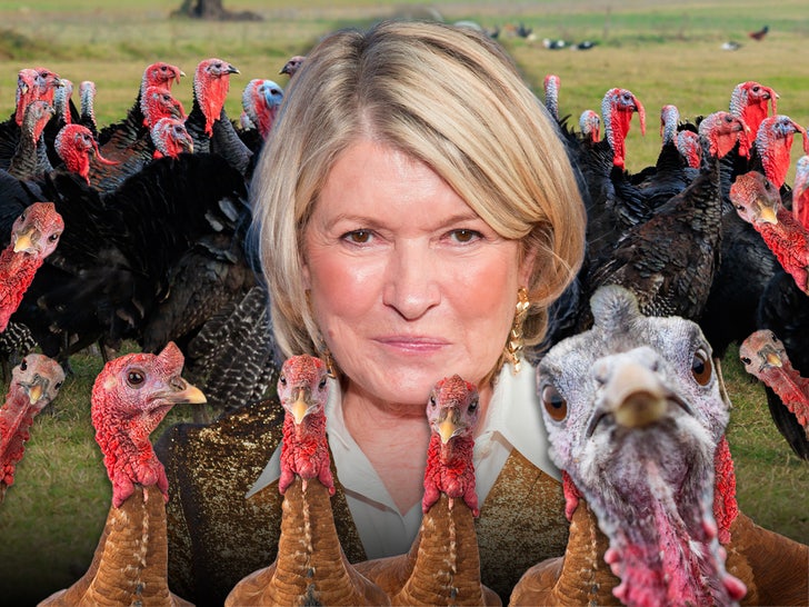 martha stewart turkeys main