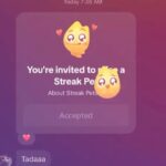 Streak pets exist in the new TikTok update