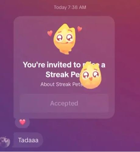 Streak pets exist in the new TikTok update