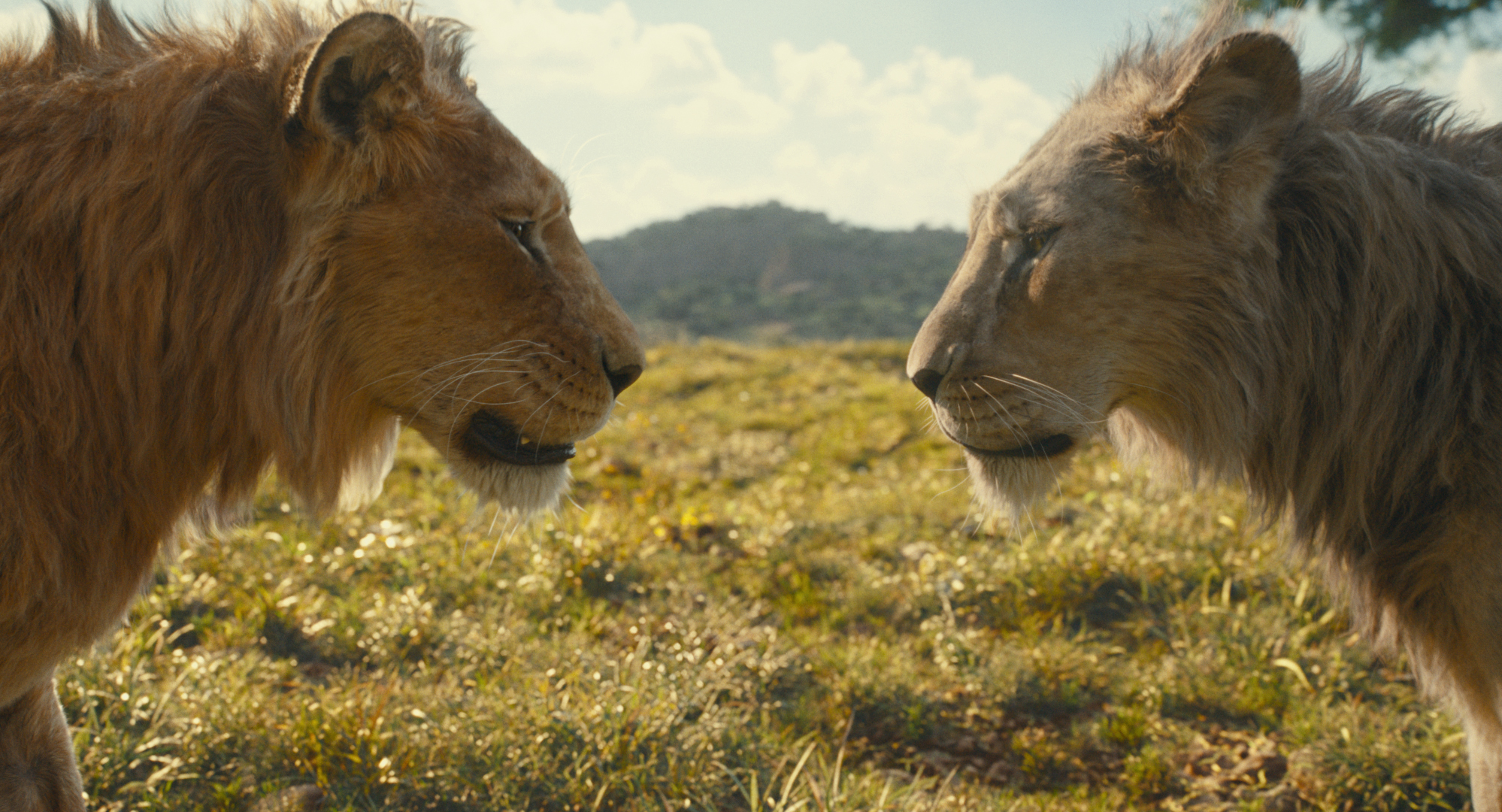 Mufasa and Taka stare at each other in Disney’s Lion King prequel Mufasa