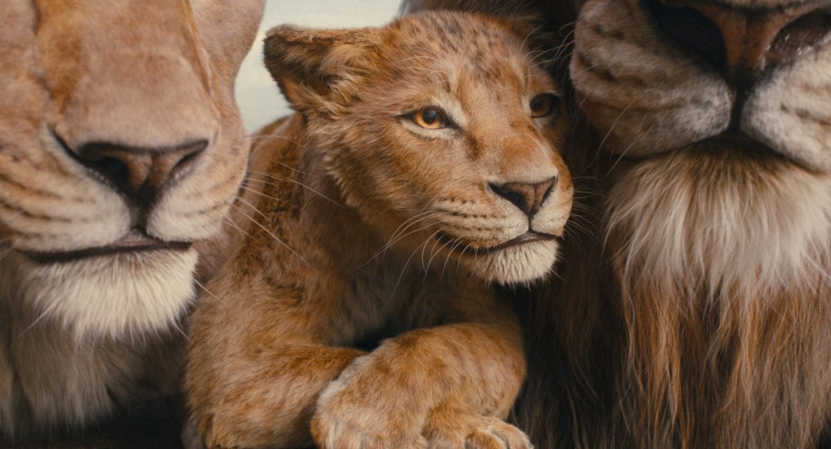 Afia, Mufasam and Masego in "Mufasa: The Lion King"