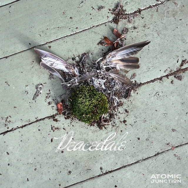 Atomic Junction's Peacedale album cover