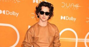 Timothee Chalamet's Last 5 Films At the Worldwide Box Office