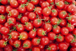 Group,Of,Fresh,Tomatoes