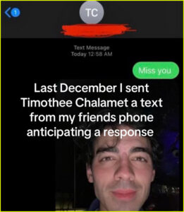 Joe Jonas tiktok screen grab