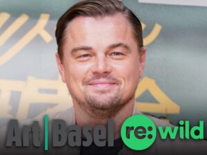 leonardo dicaprio art basel miami rewild