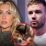 Kate Cassidy Liam Payne's Girlfriend Debuts New Angel Wings Tattoo After His Death