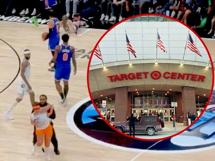 target center fan on court