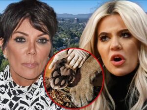 khloe kardashian kris jenner mountain lion hidden hills main getty