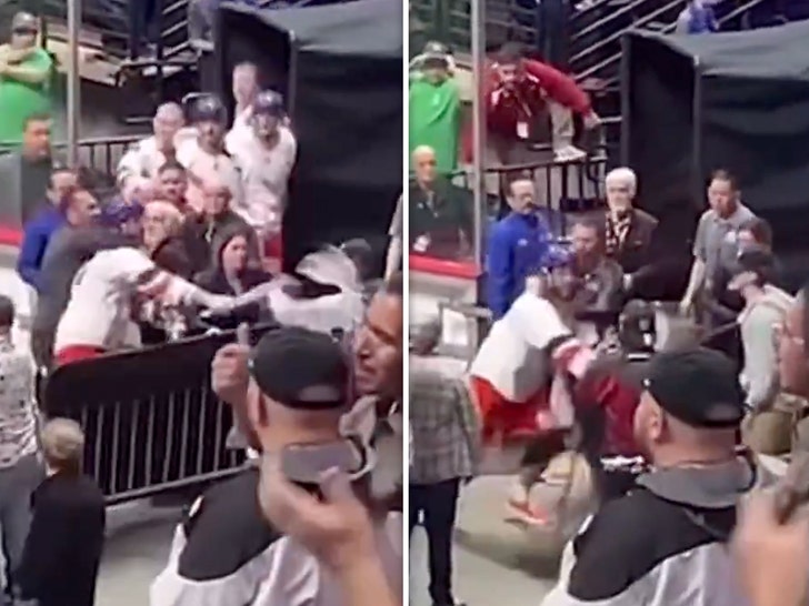 Tyson Bell National Lacrosse League Player Attacks Fans After Game, Wild Video