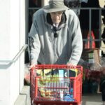 The Dutch actor stepped out on a shopping trip in Los Angeles