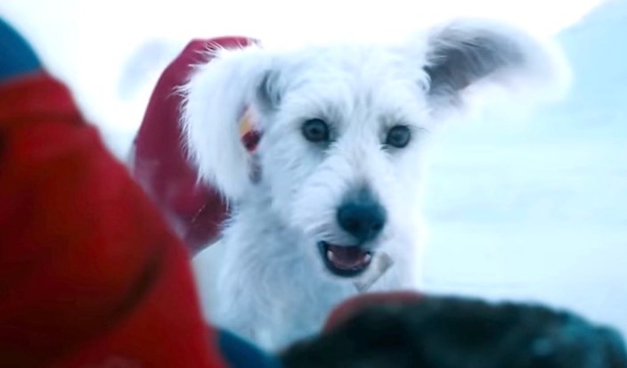 [TRAILER] James Gunn Introduces His 'Superman' And 'Krypto'