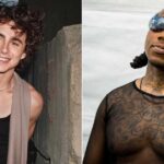 Does Timothée Chalamet credit rapper Lil B for his fame?