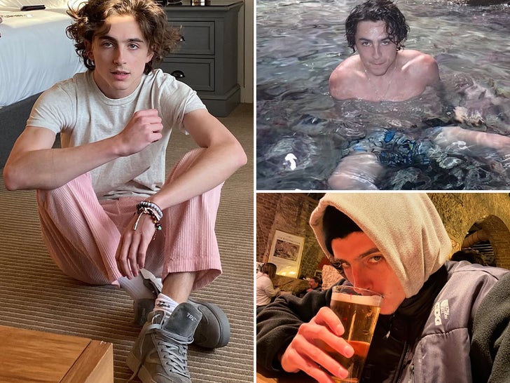 Timothee Chalamet Social Shots