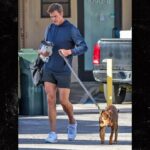 tom brady and dogs backgrid 2