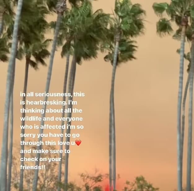 meg-deangelis-follow-up-instagram-story-la-fires