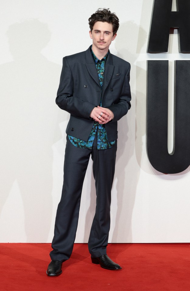 Timothée Chalamet at a film premiere.