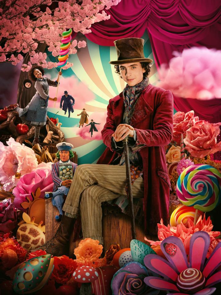 Illustration of Timothée Chalamet as Willy Wonka in a whimsical candy-filled setting.