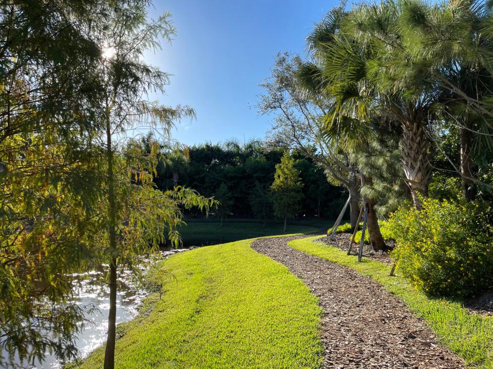 Curving path through a lush green landscape with palm trees and a pond.