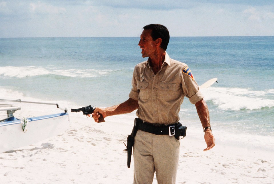 Roy Scheider in a scene from Jaws 2.