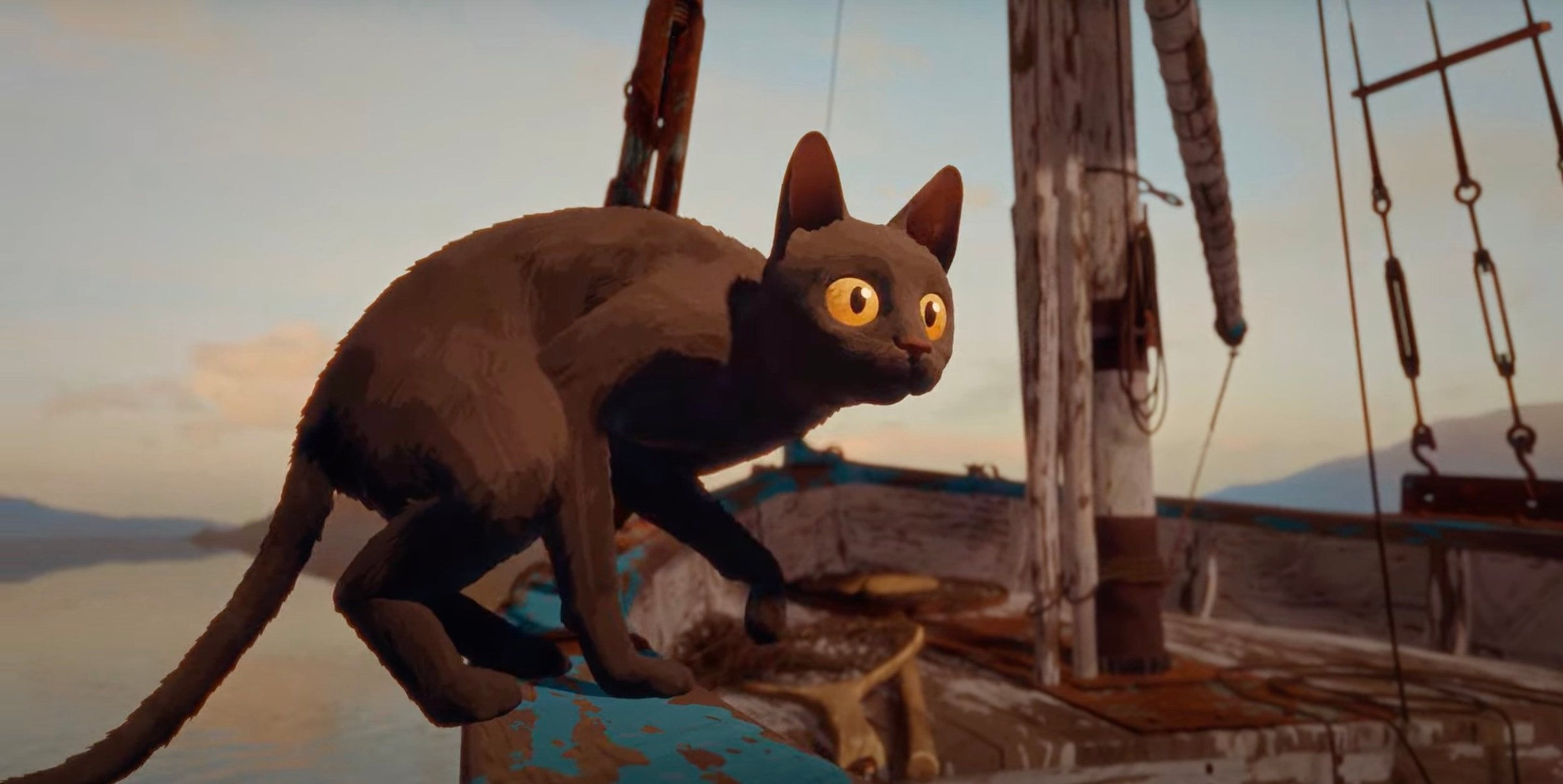 An animated cat on the edge of a boat, looking shocked in FLow