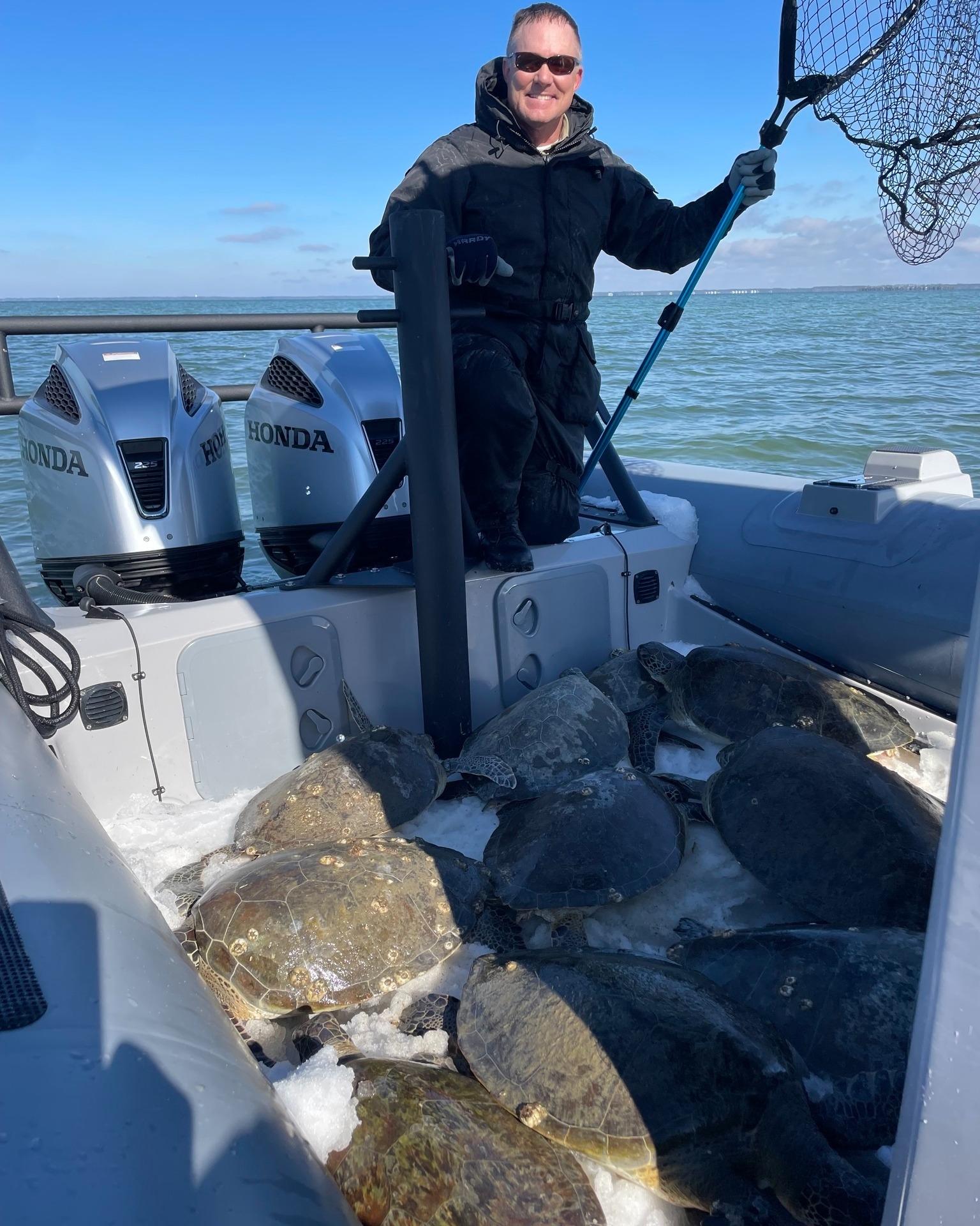 Florida Fish and Wildlife officers rescue sea turtles from frigid Gulf waters after snowstorm