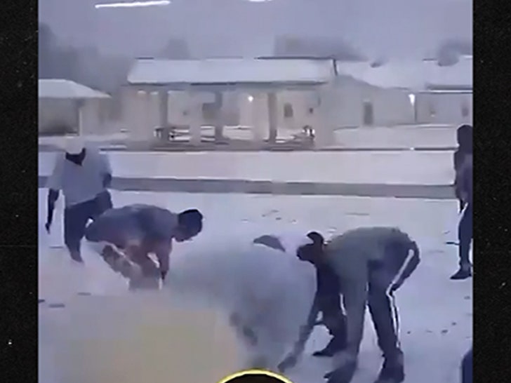 012725-snowball-fight-primary-2