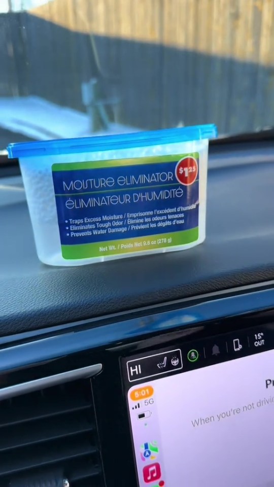 Dollar Tree moisture eliminator in a car.