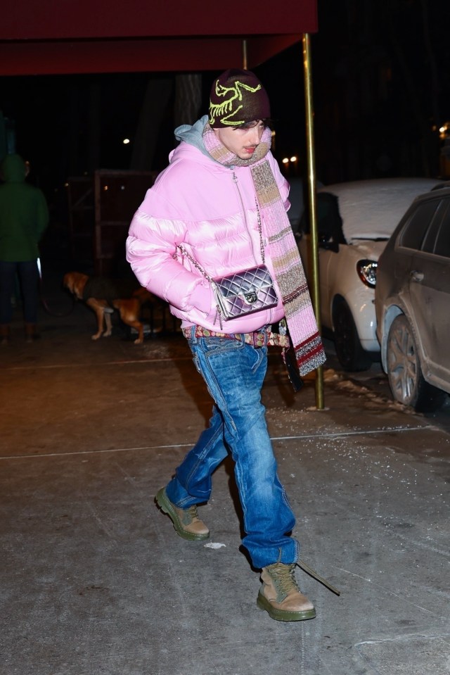 Timothée Chalamet wearing a pink puffer jacket and jeans in New York City.