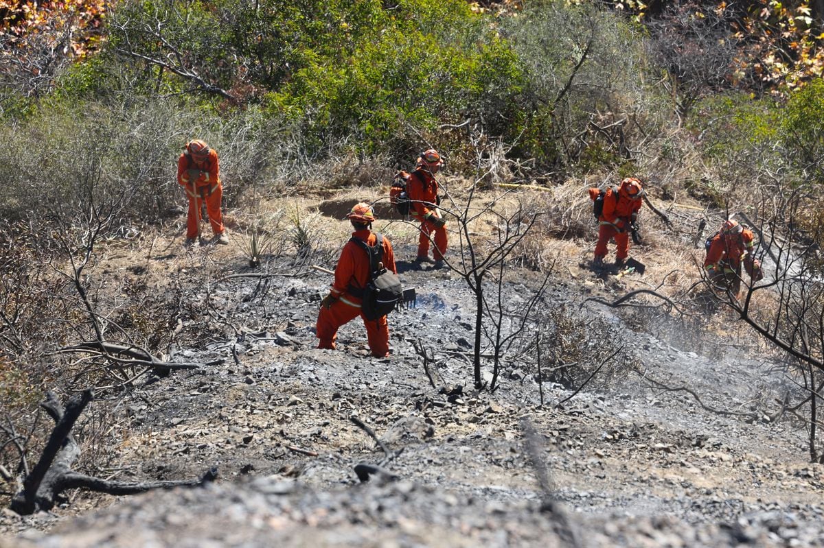 Inmates (in orange) help firefighters extinguish the last embers in the hills of  Mandeville Canyon after the Palisades Fire burned part of it, on January 13, 2025, in Los Angeles, California. 