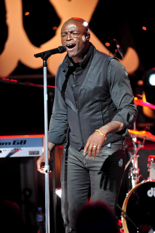 Seal performing on stage at a concert.