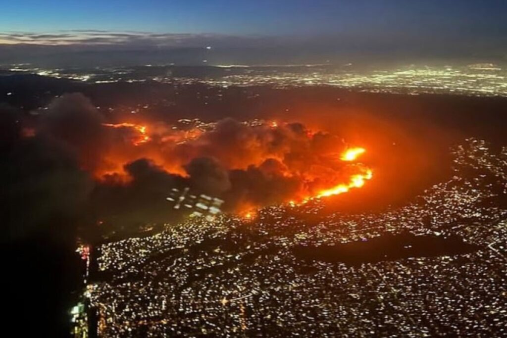 adam-brody-and-leighton-meesters-home-destroyed-by-los-angeles-wildfires