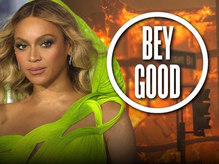 beyonce donations to wildfires getty 1