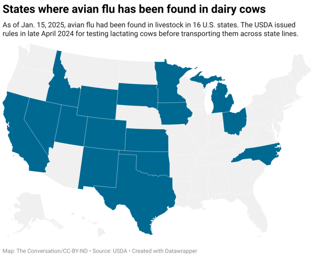 states-where-avian-flu-has-been-found-in-dairy-cows