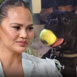 chrissy teigen mourns death of dog