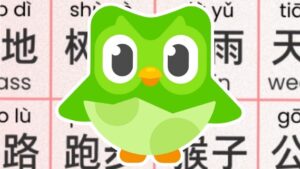 Duolingo sees 216% increase in US users learning Mandarin to get around TikTok ban