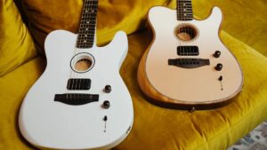 Fender Offers to Replace Instruments Lost in the LA Wildfires